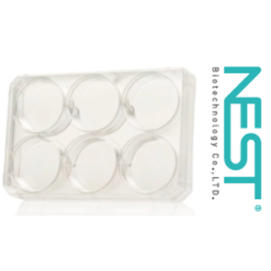 Placas para Cultivo Celular con Tapa, 6 Pozos, Fondo Plano.