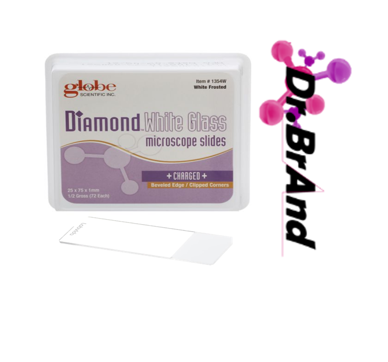 Laminas Portaobjeto para Microscopio, Vidrio Blanco Diamante 25mm x 75mm x 1.016mm, Bordes Biselados de 45°, Esquinas de Seguridad, Blanco Esmerilado.